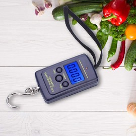 Backlit LCD Display,Fish Scale with Backlit LCD Display,Wh A01L Portable Plastic Electric Digital Hanging Scale with Hook Tool Fishing Luggage,for Home and Outdoor