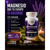 Seasons Nutrition Cit Magné Citrato Magnesio 850 Suplemento Alimenticio Fórmula
