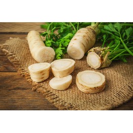 FUN AND GROW SEEDS: Seeds Parsley Hercules Edible Root and Leaf Hamburg Non GMO Heirloom 2000 Seeds