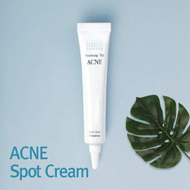 Pyunkang Yul ACNE Spot Cream 15ml/ 0.50 fl oz