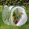 Insect and Butterfly Habitat Cage Terrarium Pop-up 12 X 12