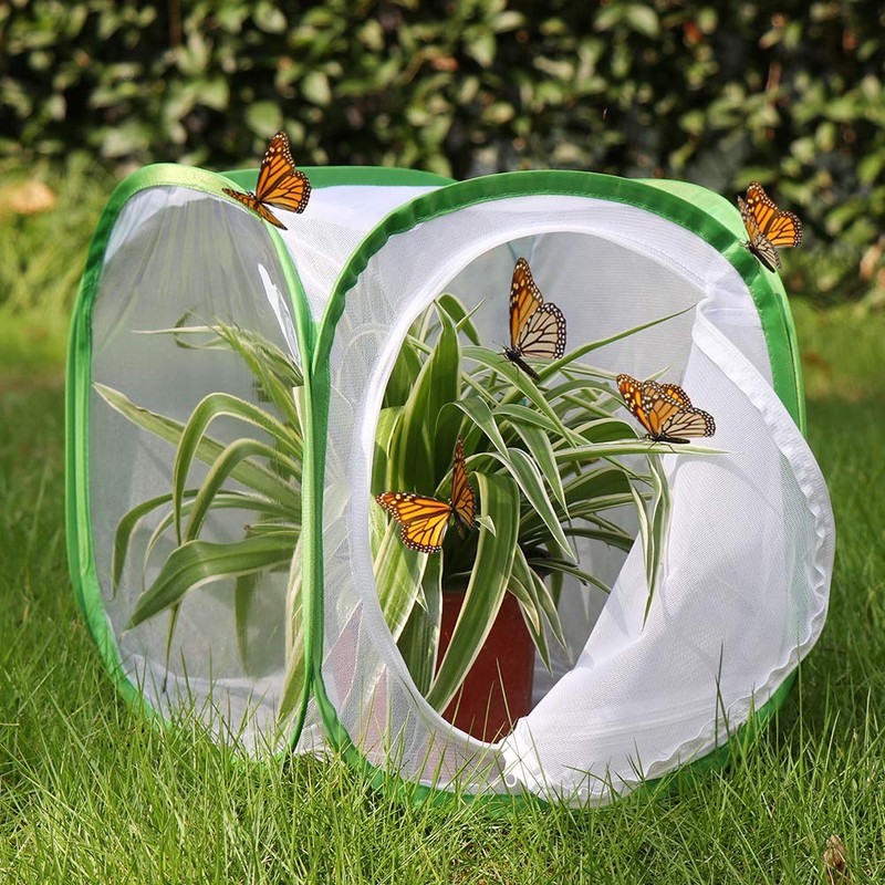 Insect and Butterfly Habitat Cage Terrarium Pop-up 12 X 12