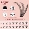 Higu clace DIY Eyelash Extensions, 320 Pieces 30D + 40D