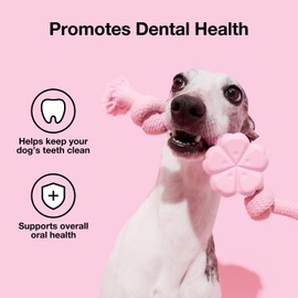 VETRESKA Dog Rope Toys, Dental Cleaning Dog Chew Toys, Tug of War Dog Toy for Boredom, Tough Dog Rope Toy for Aggressive Chewers, Puppy Chew Toys for Teething/Training/Playing