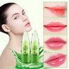 2 Pack Aloe Vera Lipstick, Long Lasting Lip Care Nutritious