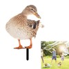 SULIUDAJI Duck Garden Stake Garden Decoration Chicken Garden Figurines Garden