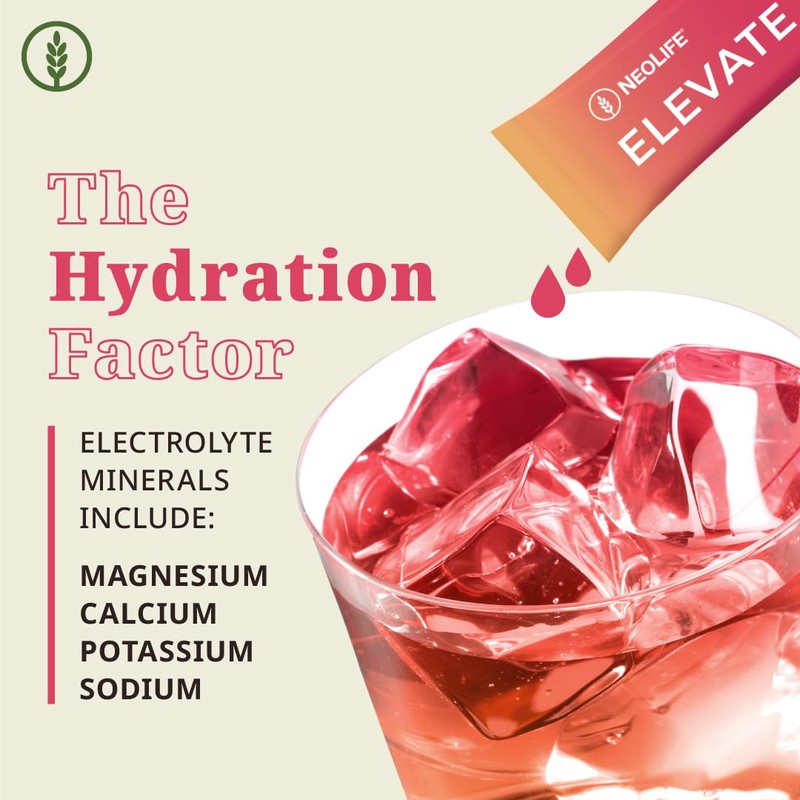 NeoLife - Elevate Drink Mix - Brain & Energy Formula,