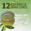 Green Life Guava Tea Leaves 150.