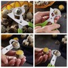 AIMALL Pigeon Quail Egg Scissors Cracker Opener, Stainless Steel Cigar