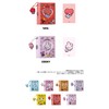 Solomon Shoji BT21 Minini Photo Binder (32 Pockets) (TATA) PHOTO