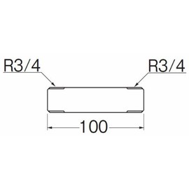 SANEI TS205L-20X100 [Stainless Steel Long Nipple] Screw Size R3/4 x Length 3.9 inches (100 mm)
