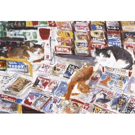 VIT-M01056 Takashi Kisushita Favorite Places - 300 Piece