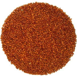 Aserio Seeds - 100g