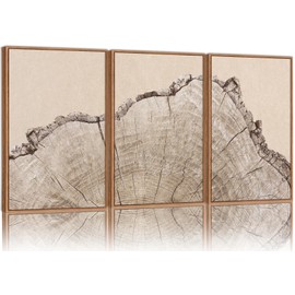 SIGNINART Large Tree Ring Framed Canvas Wall Art Set, Rustic Beige Nature Wooden Wall Decor, Neutral Wood Stump Artwork, Modern Art Prints for Bedroom Living Room Office 16"x24"x3
