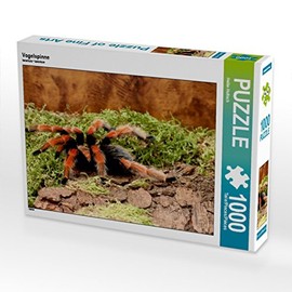 CALVENDO Jigsaw Puzzle Tarantula 1000 Pieces Puzzle Landscape 1000 Pieces Laying Size 64 x 48 cm Photo Puzzle for Happy Hours