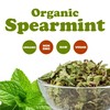 Food to Live - Organic Spearmint Leaves, 3 Pounds –