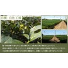 Sayamacha Matcha Suisetsu Matcha Powdered Green Tea 1.8 oz (50