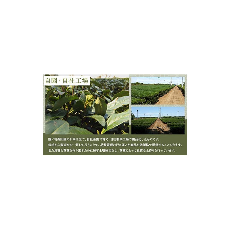 Sayamacha Matcha Suisetsu Matcha Powdered Green Tea 1.8 oz (50