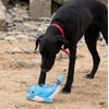Petface Planet Devi Dolphin Eco Friendly Plush Dog Toy