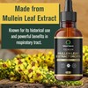 Mullein Leaf Extract Drops - Huge 100ml Bottle = 100