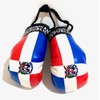 Dominican Boxing gloves flags for car accessories Dominican Republic flag