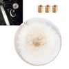 2.8in Shift Knob Crystal Real Dandelions Flowers Universal Accessory with