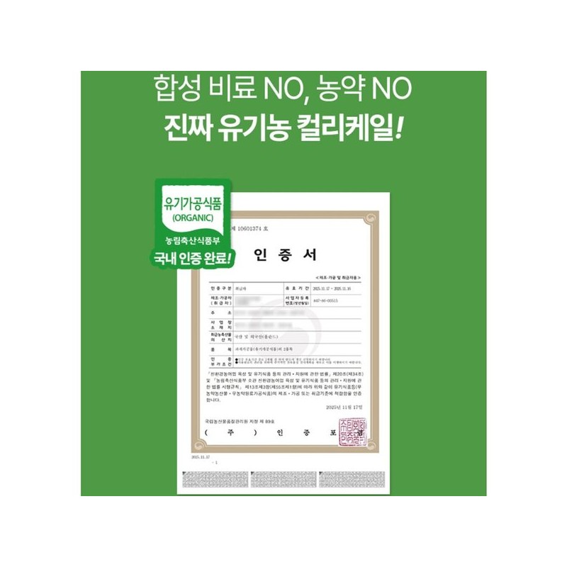 유기농 컬리케일 곱슬케일 분말 동결건조 곱슬컬리케일 가루 스틱 2g 14포
