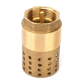 DN25 Female Female Brass Check Valve with Filter Filter