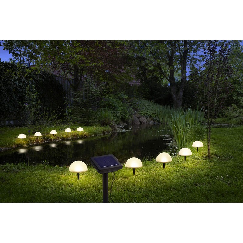 5 Solar Ground Lights in Hemisphere Shape, Modern Solar Lights