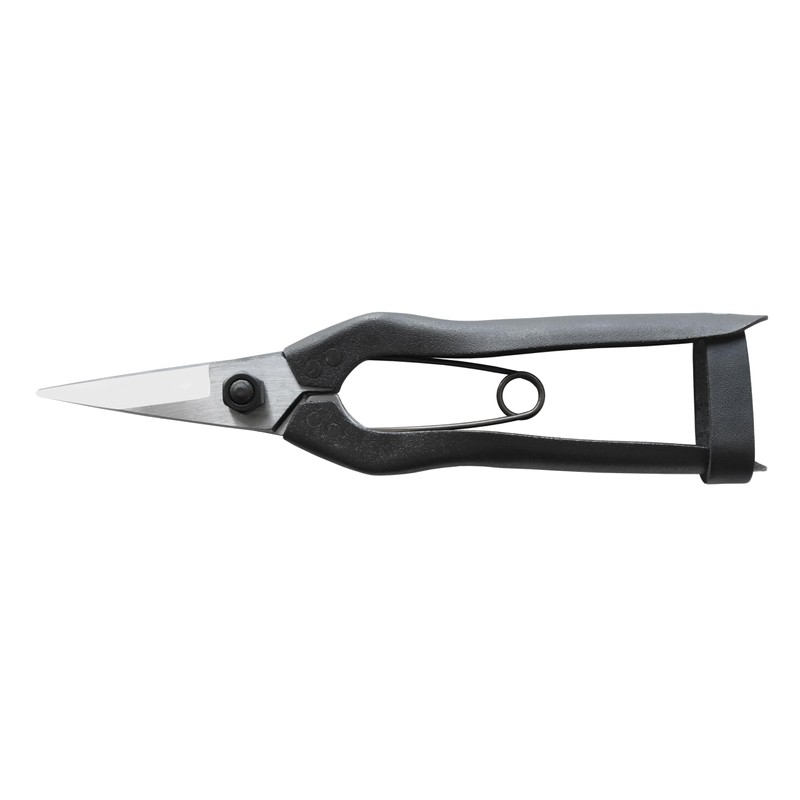 Okatsun 207 Matsuha Shears, BP Included