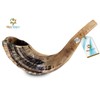 Holy Voice Kosher Ram Shofar Horn from Israel Traditional Half