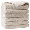 POLYTE Premium Lint Free Microfibre Washcloth Face Towel, 33 x