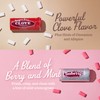 Gerrit's Sugar Free Gum Variety Pack of 12 Tubes -