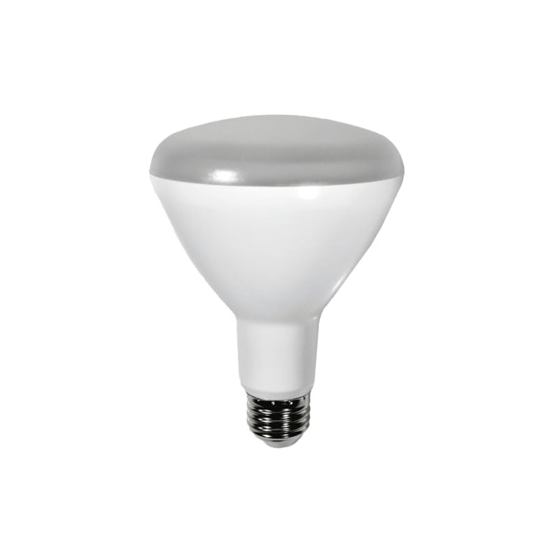 Diodesy- BR30 LED Flood Light Bulb 8W 650 Lumen E26