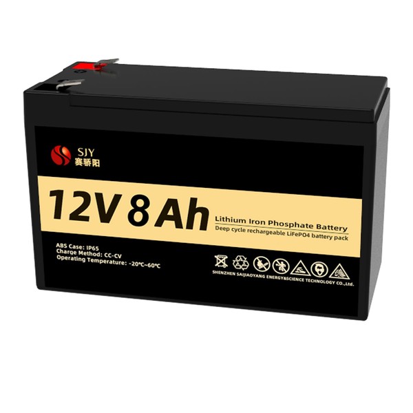 12V 8Ah Lithium LiFePO4 Rechargeable Battery for Kids Ride On