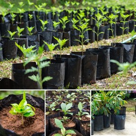 bainuote Plant Bag Pack of 100 High-Quality PE Plant Bags Plants Grow Bag Biodegradable Thickened Plant Bags with Breathable Holes Seedling Bag (10 x 30 cm (D) x H)