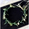 Merroyal Green Flower Crown Eucalyptus Crown Leaf Floral Crown Boho