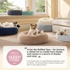 Bedsure Calming Dog Bed Medium Size Dog - Donut Washable