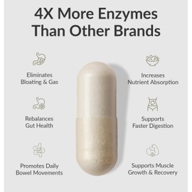 BIOptimizers MassZymes - Complete Digestive Enzymes Supplement for Gut Health - Bloating Relief for Men and Women - Lipase Amylase Bromelain Digestive Enzymes (30 Capsules)
