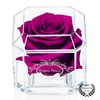 A 100% Real Rose That Lasts Years - Eternal Petals,