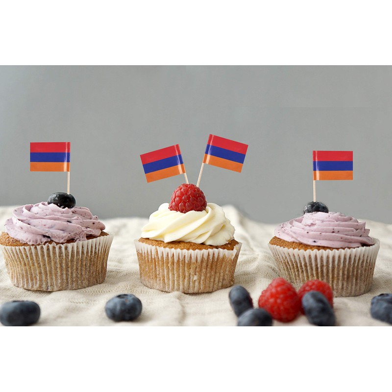 JBCD Armenia Toothpick Flag Armenian Mini Small Cupcake Topper Flags,