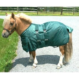 Intrepid International Miniature Horse Turnout Blanket, 38-Inch, Hunter Green