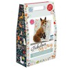 The Crafty Kit Company The Fabulous Mr Foxy Needle Felting