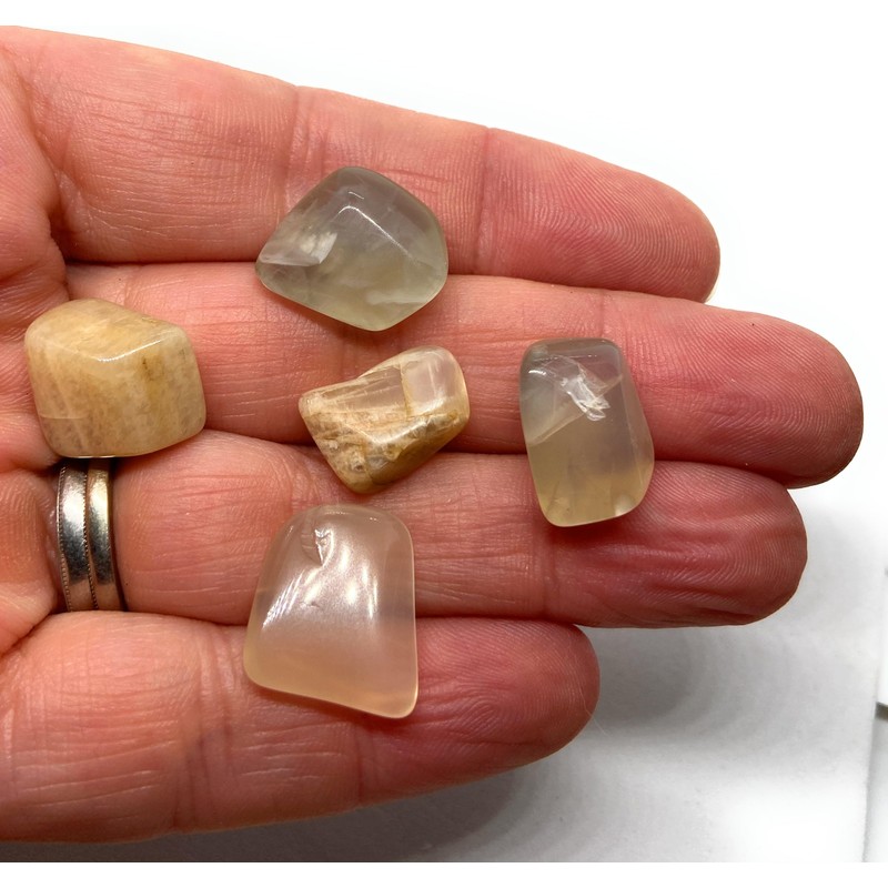 Moonstone Mini Crystal Tumbled Stones - 10 Pc