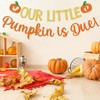 Our Little Pumpkin is Due Banner, Fall Baby Shower Decorations,