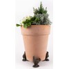 Buff Orpington Chicken Plant Pot Feet - Set of 3