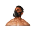 SELMUEL Training Mask