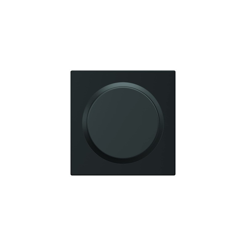 Schlage F10 BWE 622 COL 16-080 10-027 134 Front Entry