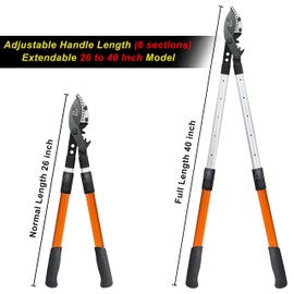 Prunrt Loppers for Tree Trimming Heavy Duty, 26-40 Inch Handle Telescopic Tree Trimmer, Sync Drive Leverage Pruner, 2 Inch Branch Cutter