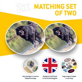 Vinyl Stickers (Set of 2) 7.5cm - Newfoundland Dog Puppy Cute #2279
